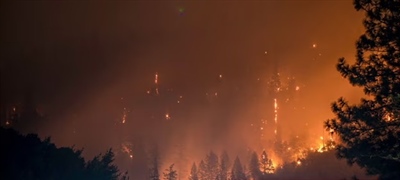 Turn $1 into $3 to Support Wildfire Relief in Newfoundland & Labrador