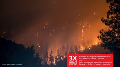 Turn $1 into $3 to Support Wildfire Relief in Newfoundland & Labrador