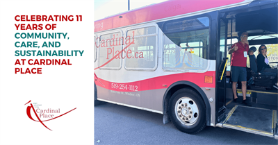 Celebrating 11 Years