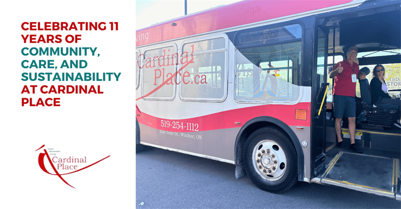 Celebrating 11 Years